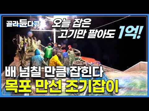 ‘10마리에 40만원‘ 값비싼 참조기가 14km 초대형 그물 터지도록 잡혔다! | 어업 중 예상치 못하게 맞닥뜨린 중국 어선 | 목포 만선 조기잡이 | 극한직업 | #골라듄다큐