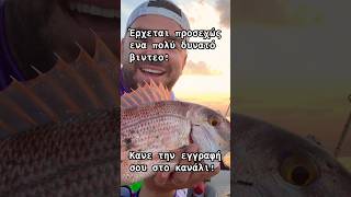Έρχεται κάτι ομορφο! #fishing #fishboat #ψάρεμα #fish #boatfishing