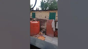 Monkeys Drinking Water From Water Tank 
