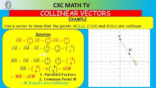 Celebrity VECTORS PT 3|Parallel and Collinear Vectors |CSEC Mathematics |Section 10 Net Worth