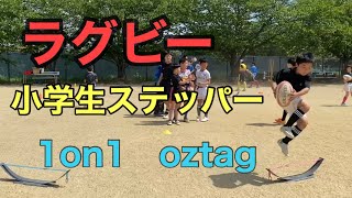 ラグビー　1on1 3vs2 タグラグビー(oztag) 小学生ステッパー