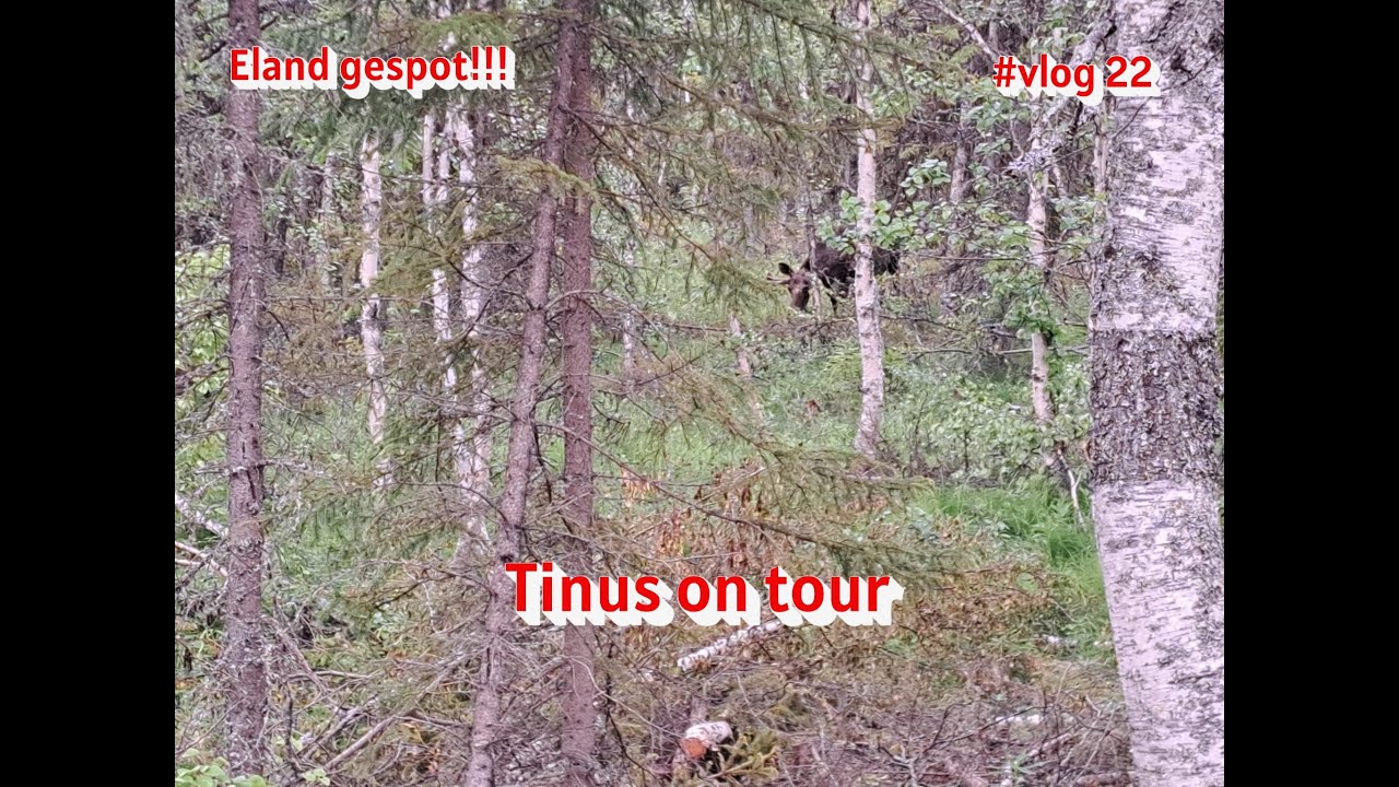 #Vlog 22 We hebben een Eland gespot!!