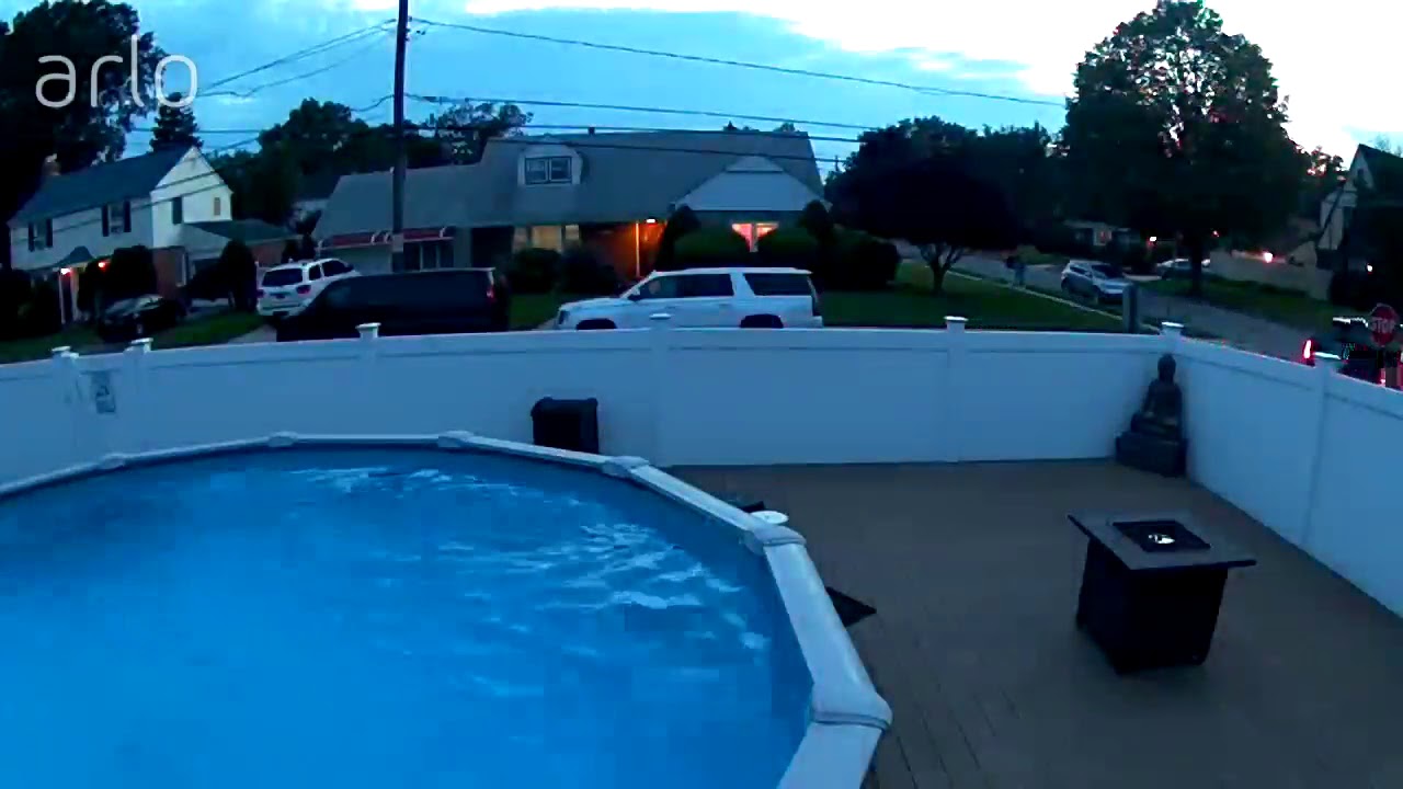 renegade shark in pool