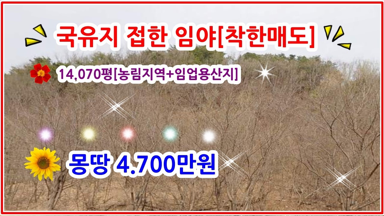 [임야] 착한 매도금액  14.70평 몽땅 4700만원 임도 앞에는 국유지가 접해져 있습니다 —착한매도