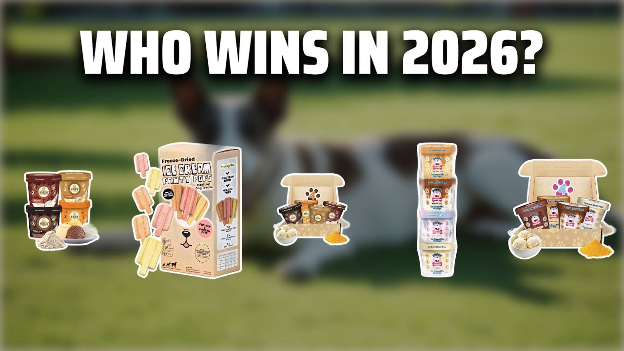 The Top 5 Best Dog Ice Cream in 2026 - Must Watch Before Buying!