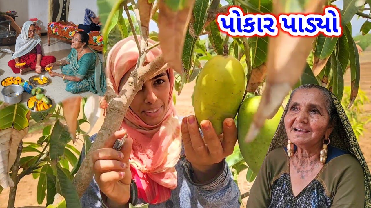 પોકાર પાડ્યો પણ નો હાલ્યું | ફુયુ ની અગિયારસ | JSK Life 1064