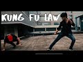 Kung fu law  fight scene  martial arts prateek parmar