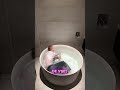 IL NAGE 5KM DANS UNE BAIGNOIRE ! 😱🏆