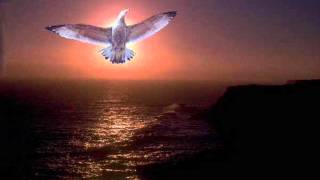 Vieni O Spirito Creatore