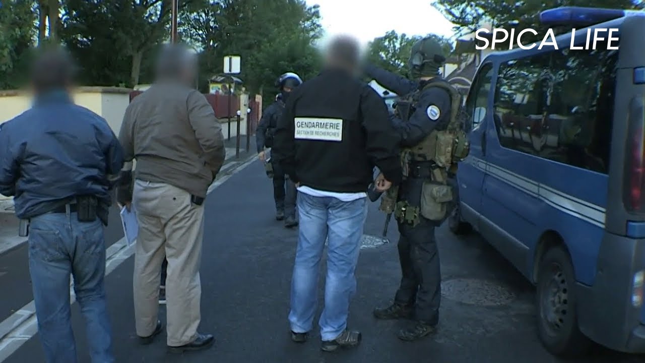 Tarmac en alerte : vols en bande organisée par les employés