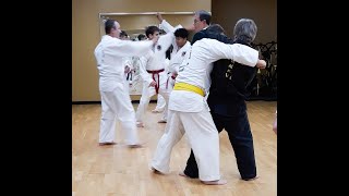 Introduction to Hapkido Pt 2