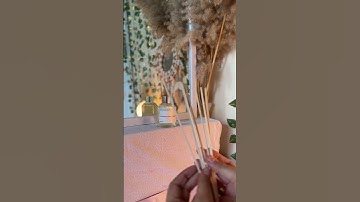 How to setup a room diffuser | #shorts #ytshorts #indianbloggerincanada #dossier