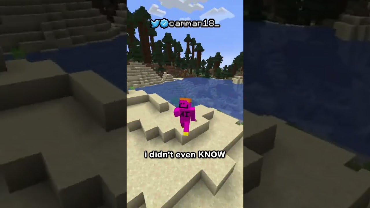 i found a block that i didn't know could spawn...