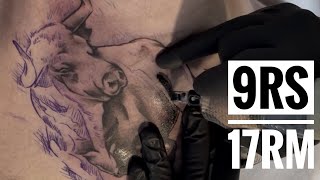Bull Tattoo Time lapse