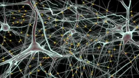 A brain in a supercomputer | Henry Markram