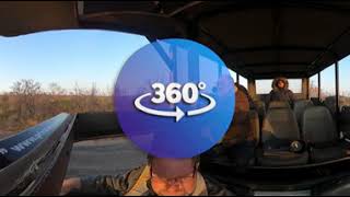 360 VR Video of a Full Day Safari in Kruger National Park with Private Kruger Safaris from Hazyview