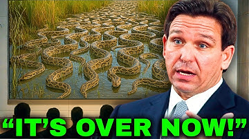 Actual Footage From Florida’s Swamps Reveals the Aftermath No One Expected