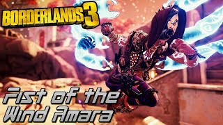 Fist of the Wind Amara 3.0 (Best Level 65 Mayhem 10 Spiritual Driver Melee Build) - Borderlands 3
