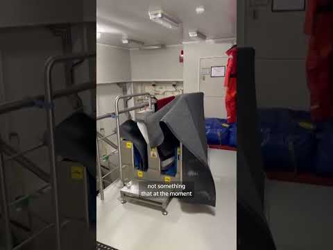 Brote de hantavirus en crucero de lujo: qué se sabe del virus de cepa andina