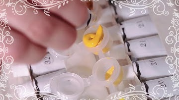 risovanie kartin po nomeram