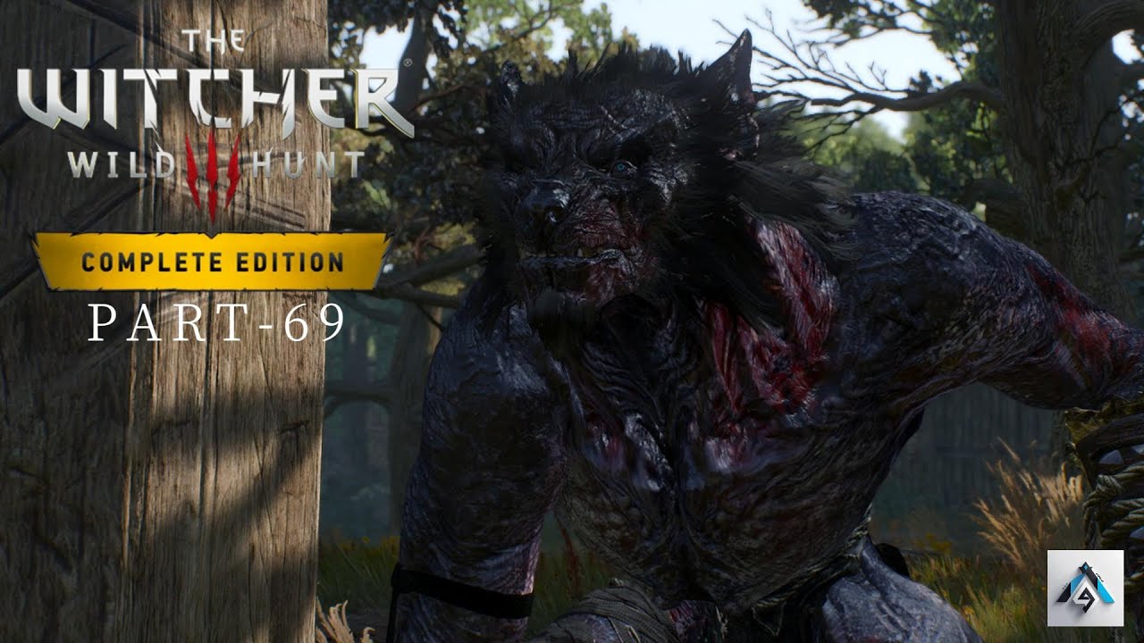 The Witcher 3: Wild Hunt – Complete Edition  Game Play Part-69  2K 60FPS