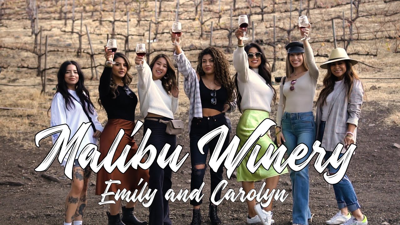 WINE TASTING VLOG w/ HOUSE OF STYLE BABES