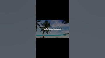 الشيخ محمد الليثي سورة البقرة