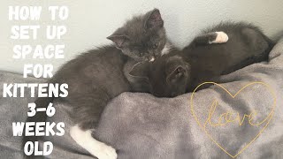 How To Set Up Space For Kittens 3-6 Weeks Old || Coastal Kitten Care