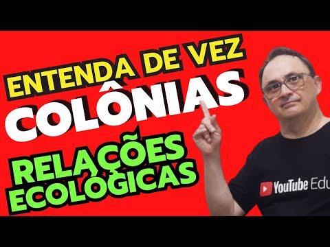 Colônias, Relação Ecológica em Ecologia