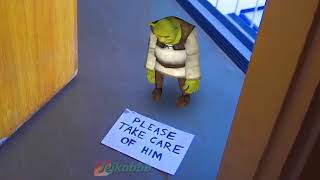 Memes De Mini Shrek