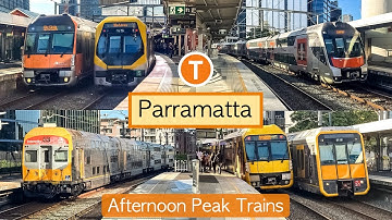 Transport for Sydney Vlog 1060: Parramatta Part 7 - Afternoon Peak Trains
