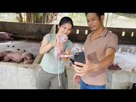 Video: Tuần lễ Vet Tech: Cuộc sống như một công nghệ Zoo bán thời gian