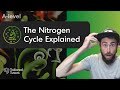 ✔️ The Nitrogen Cycle Explained | A-Level Biology Tutorial | AQA