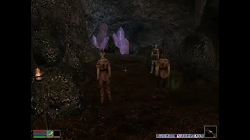 Day 115 - Killing Every NPC Until Elder Scrolls 6 is Released