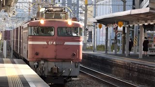 JR貨物　EF81 403 貨物列車　黒崎駅