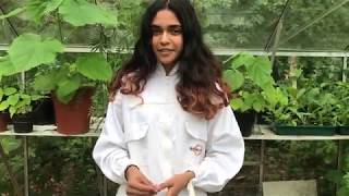 An introduction to beekeeping (ep 1)