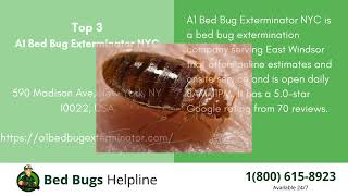 Top 3 Bed Bug Removal in New Windsor