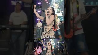 Download Lagu CINTA TAK TERBALAS #pelampiasan #divahani #dangdut #trending #shorts #short #yt #koplo #ytshorts MP3