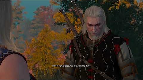 A Favor For A Friend quest : The Witcher 3