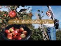 🍂Ein SUPER herbstlicher Tag! | Äpfel pflücken & Kürbiskekse backen 🍂