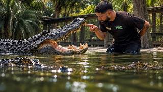 Training Crusher, Florida's Largest Alligator & 2 Crocodiles