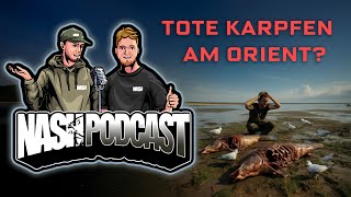 Nash Podcast - Germany | #036 | „Tote Karpfen am Orient?”