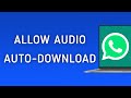 How To Allow Audio Auto-Download On WhatsApp App On PC (New Update)