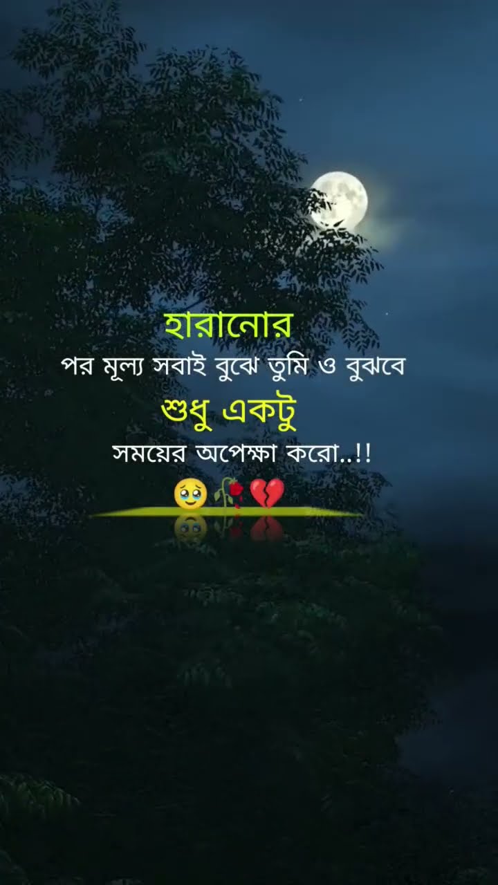 💔একাকিত্ব জীবন💔 - ShareChat