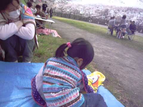 花見が寒くておかしな遊びの娘