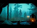 Cozy night in the forest with war summer rain from a tent ambience  enjoy the rain and relax