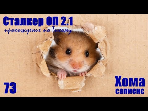 Объединённый Пак 2.1 - №73 Гидра для Круглово.