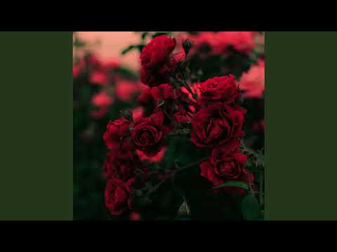 Infinite Chariots — Infinite Chariots | Eternal Return