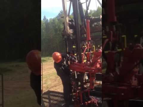 Курс молодого помбура