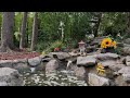 Help Me Design the Perfect Waterfall for Birds &amp; Squirrels | Share Your Ideas in the Comments!